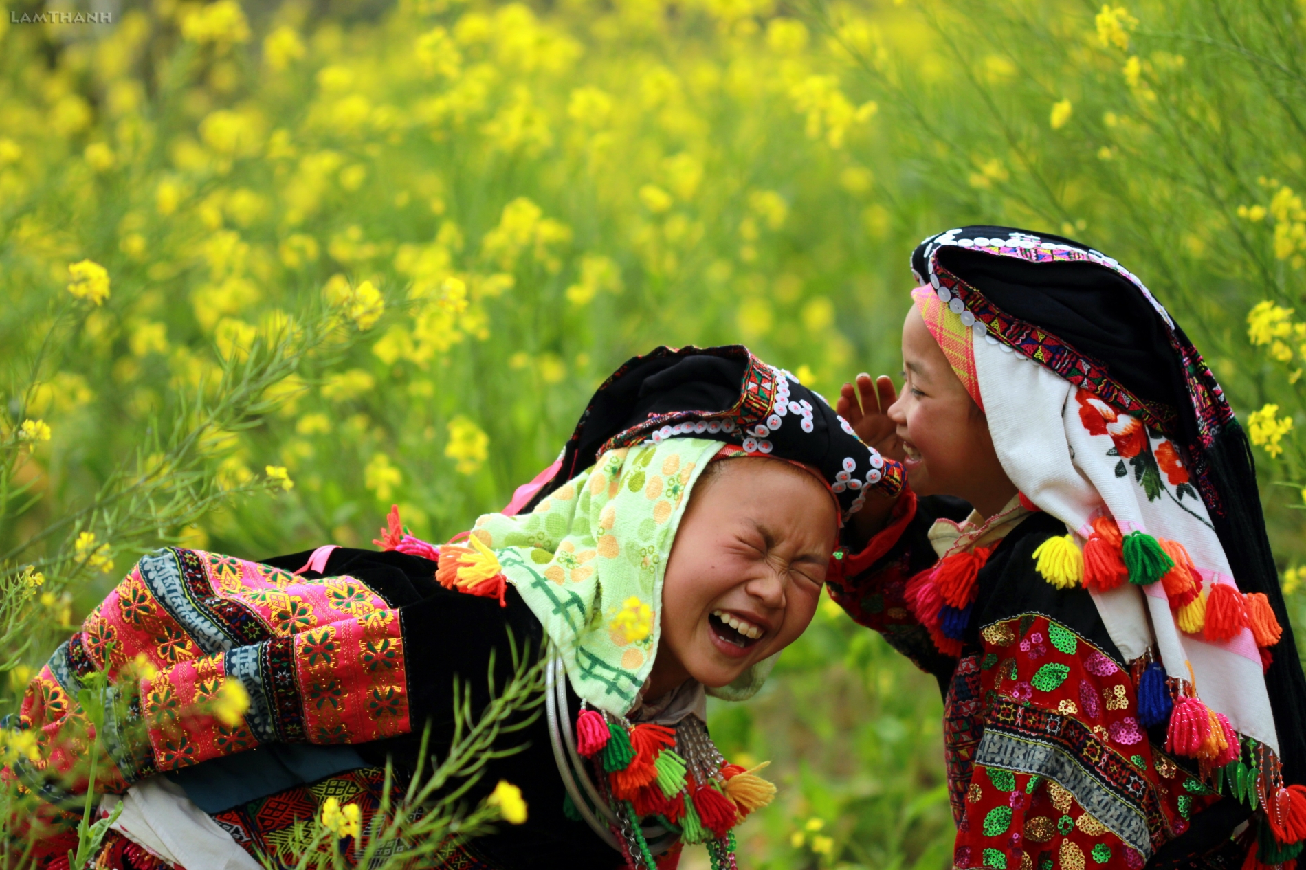 HÀ NỘI - TÂN TRÀO - HÀ GIANG - QUẢN BẠ - LŨNG CÚ - ĐỒNG VĂN - HÀ NỘI {3N/2Đ, ÔTÔ}