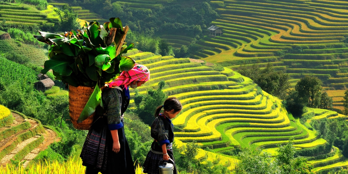 Sapa - Núi Hàm Rồng - Cát Cát - Thác Bạc {4N, tàu hỏa}