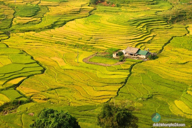 Tour Sapa - Cát Cát - Hàm Rồng - Lao Chải - Tả Van