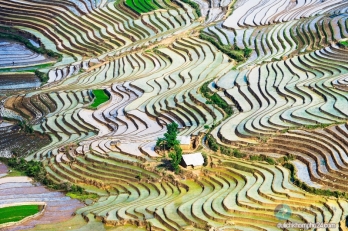 Tour Sapa - Cát Cát - Hàm Rồng - Lao Chải - Tả Van